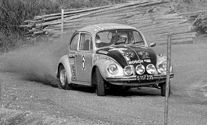 GruensteidlH VW 1303S-histo