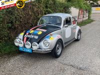 GruensteidlH VW 1303S-aktuell