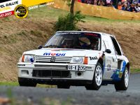 BiewenL Peugeot 205T16-aktuell