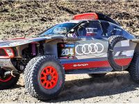 25ERF PM06 Audi RS Q e-tron  800