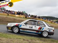 JuengerD Peugeot 309 Gti-aktuell