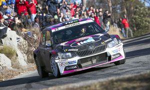 LothA Skoda Fabia R5-histo
